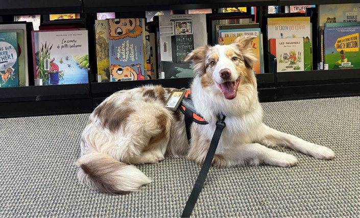 Image de l\événement